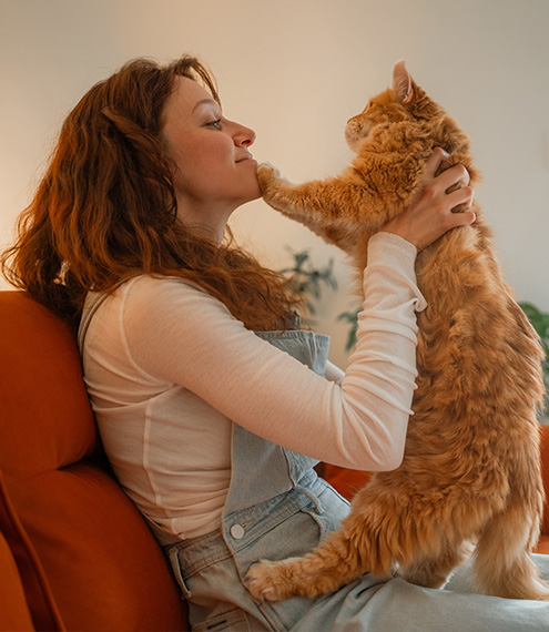  amor entre gatos y humanos